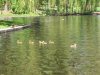 Picture of Public Garden