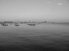 Picture of Boston Harbor