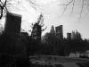 Picture of Central Park, NYC