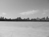 Picture of Central Park, NYC