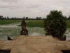 Picture of Public Garden