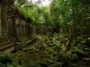 Picture of Public Garden