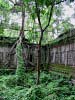 Picture of Arnold Arboretum